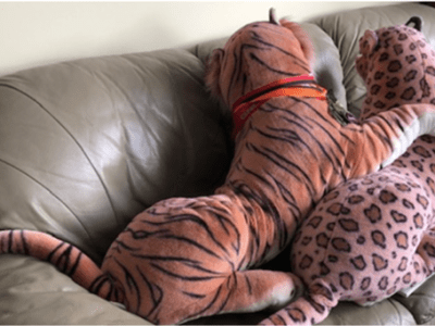 The Letters Page, Vol 5, #8: You’ve Been Wondering About My Life