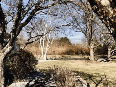 The Letters Page, Vol 5, #10