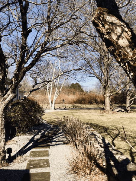 In Conversation with Nay Saysourinho