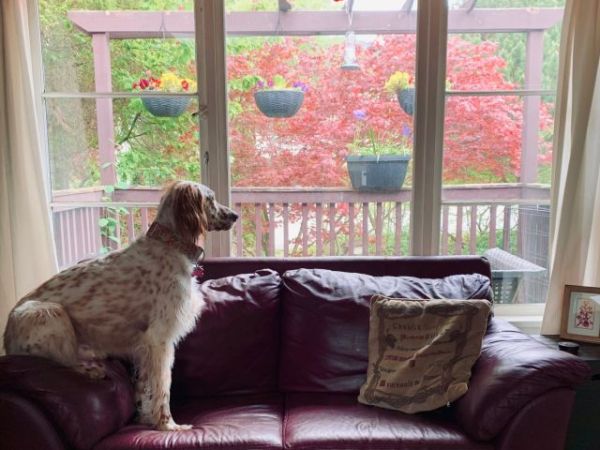 The Letters Page, Vol 5, #6: Be Kind, Be Calm, and Be Safe