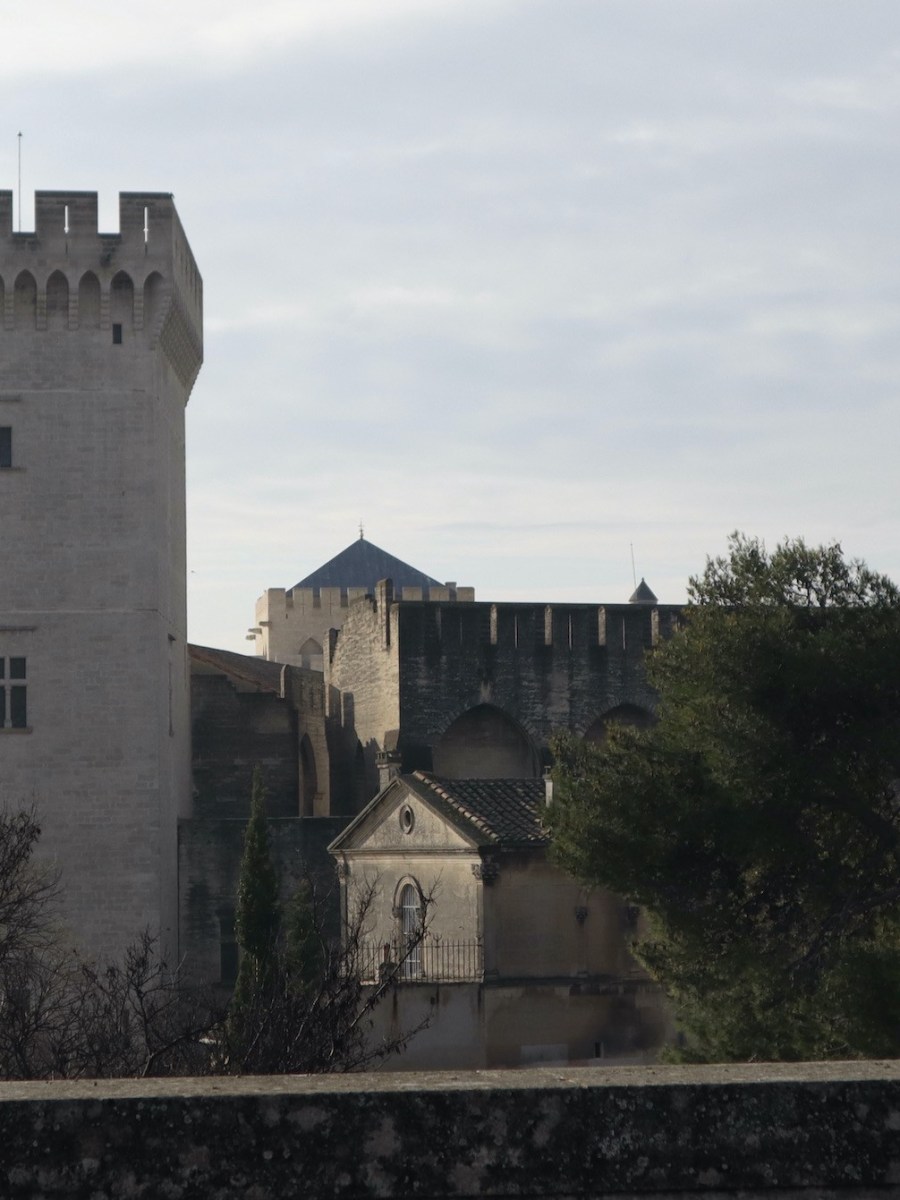 Cassie Gonzales: ‘There are so many beautiful dead girls’