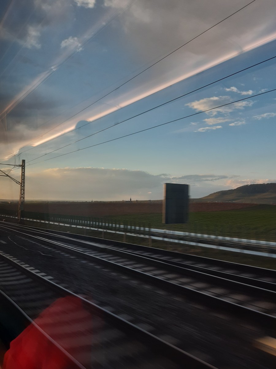 ‘Gardens, dreamed, photographed or otherwise seem to be spaces always of fantasy and escapism’: An Interview with Grug Muse