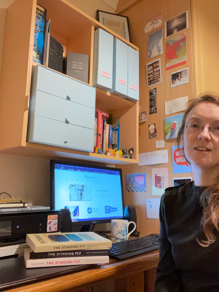 ‘Fear is what holds them back from publication’: An Interview with Lisa McInerney