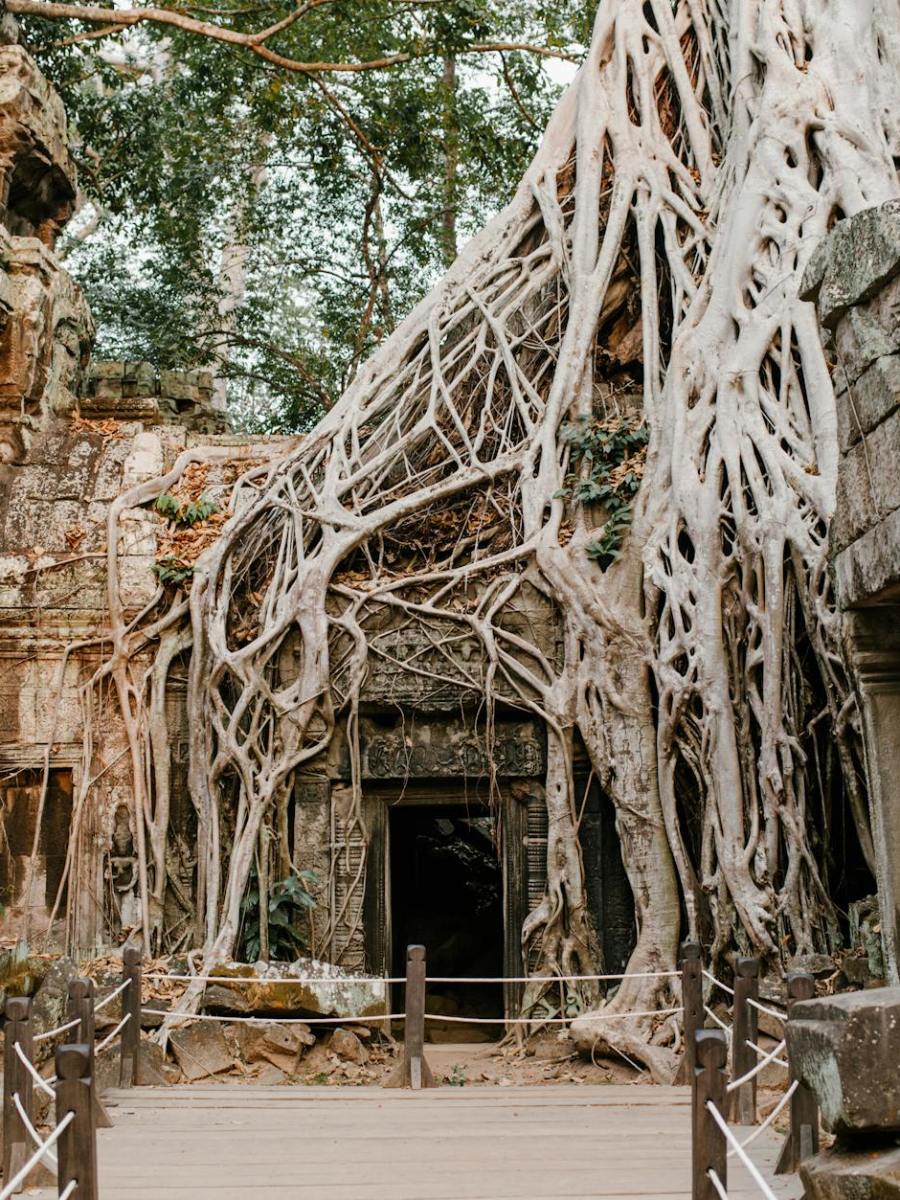 A Letter from Baghdad